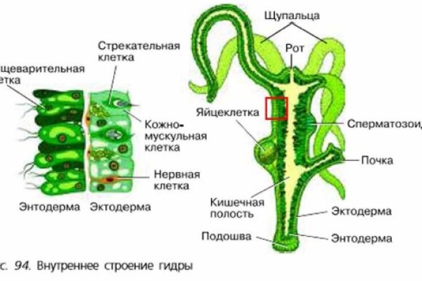 Блэкспрут даркнет